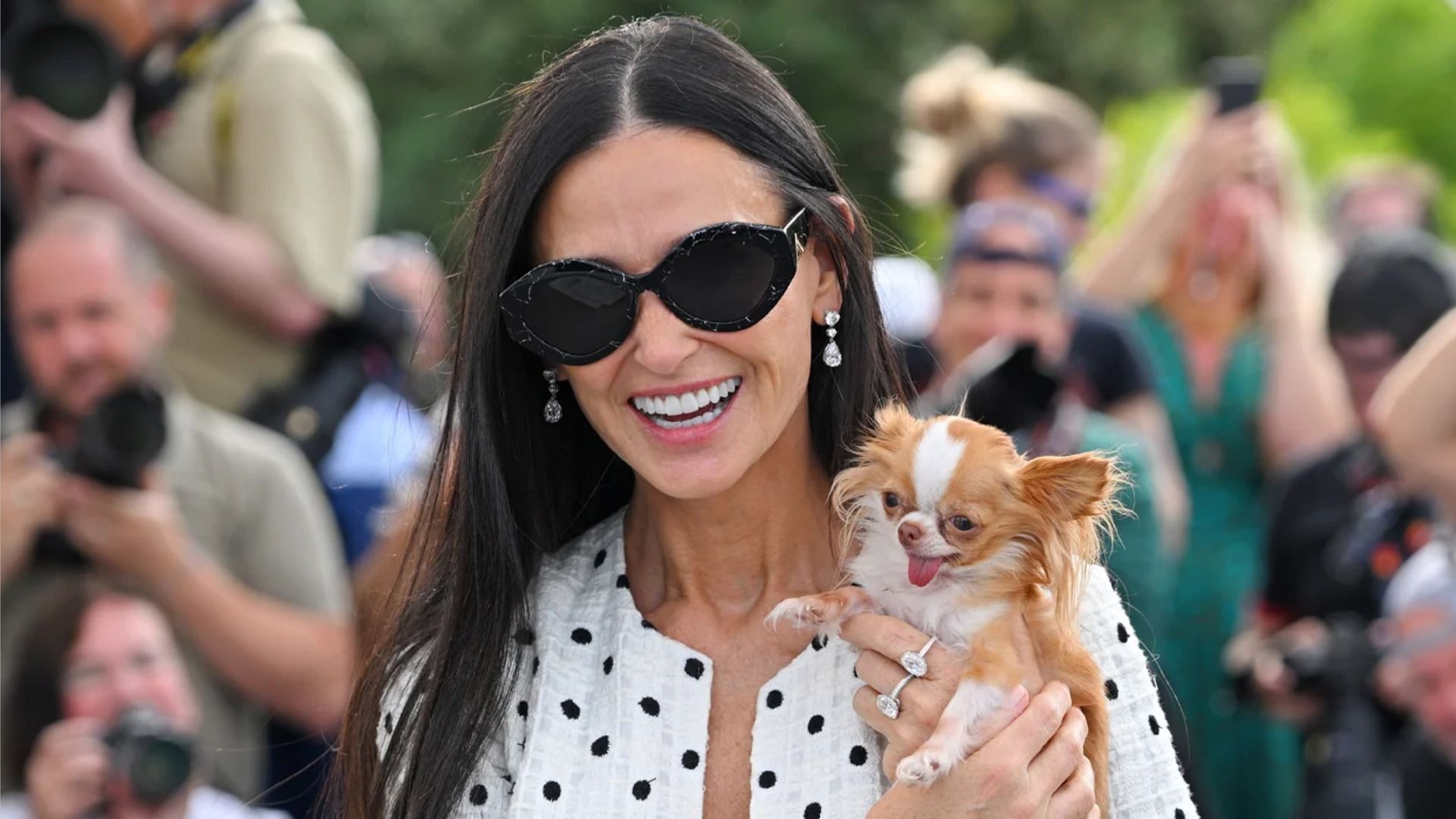 Demi Moore and one of her Chihuahuas