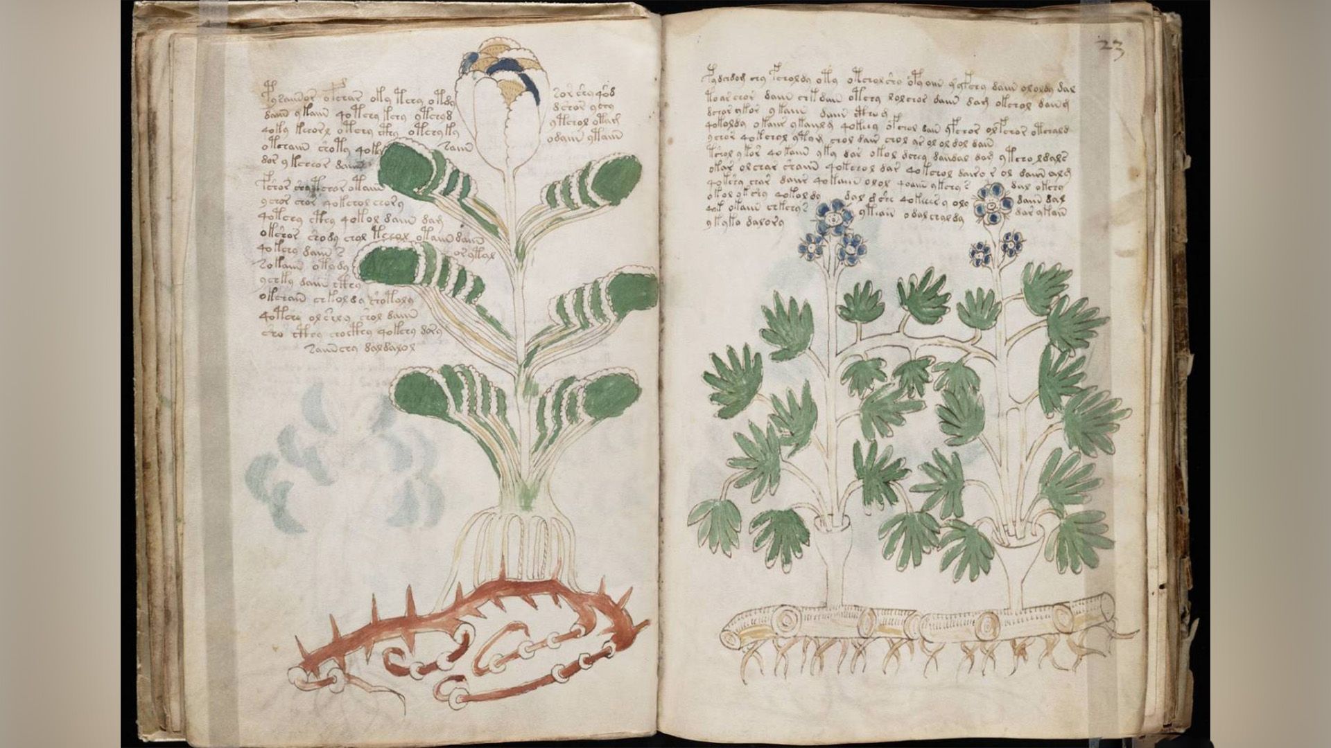 The Voynich Manuscript