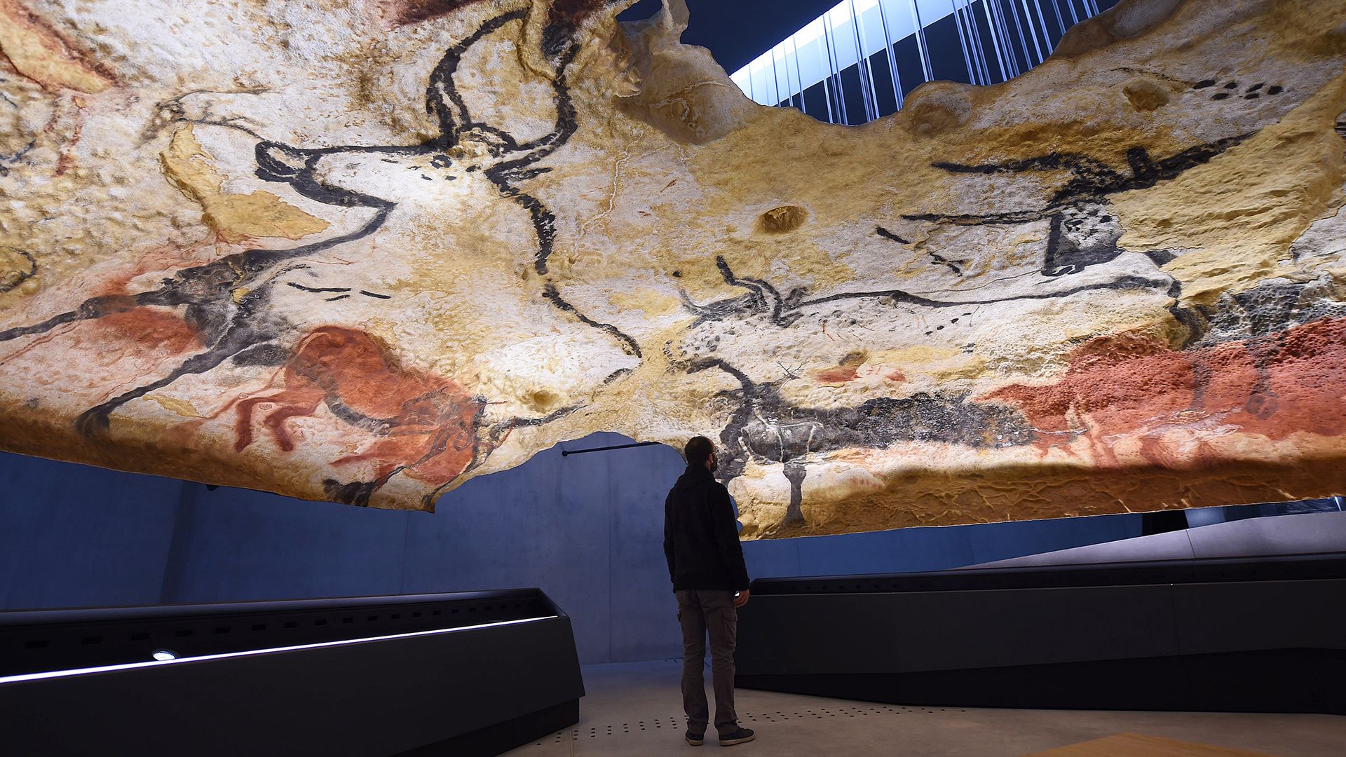 Copies of drawings from the Lascaux Cave in the museum