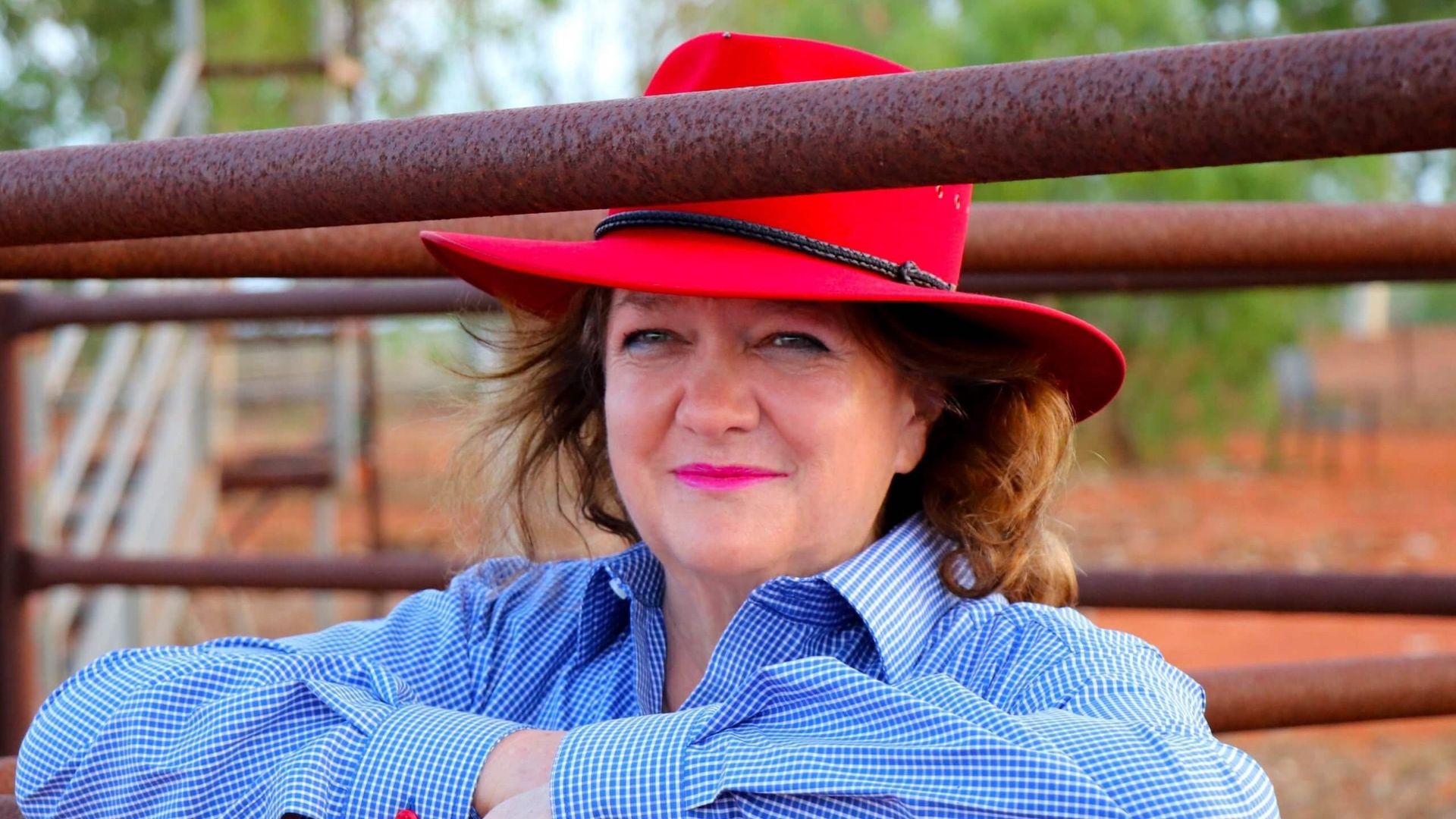 Gina Rinehart, born in 1954, $30.8 billion