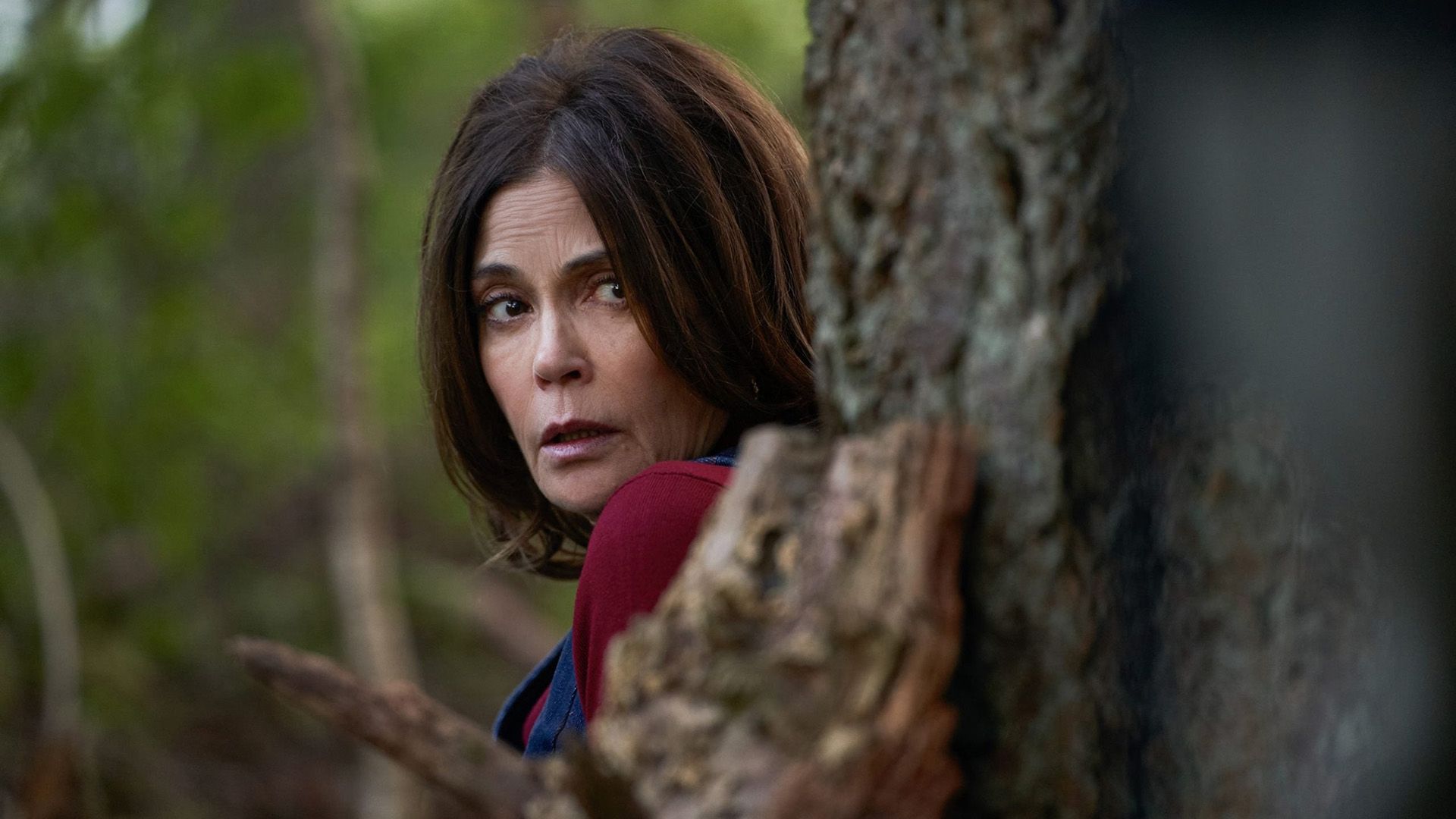 Teri Hatcher peers nervously from behind a tree