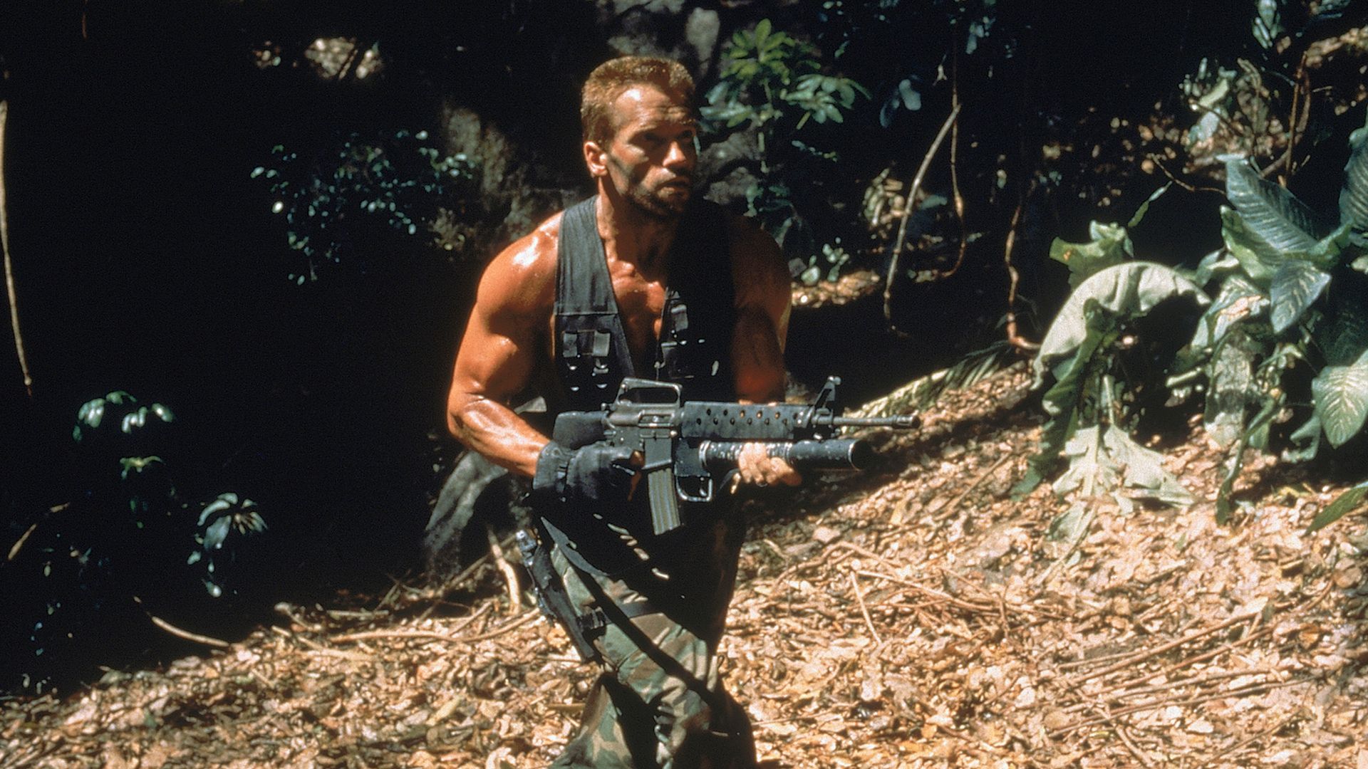 Arnold Schwarzenegger in Talks to Join New "Predator" Movie