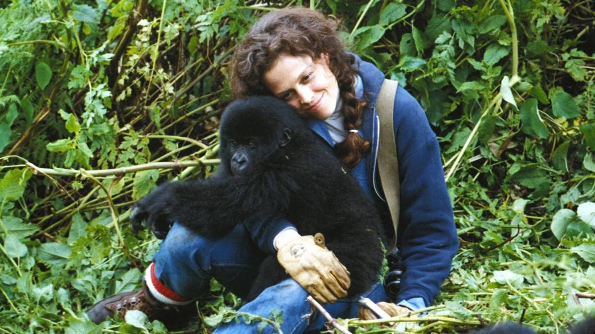 A smiling woman sits in the grass with a baby gorilla in her arms