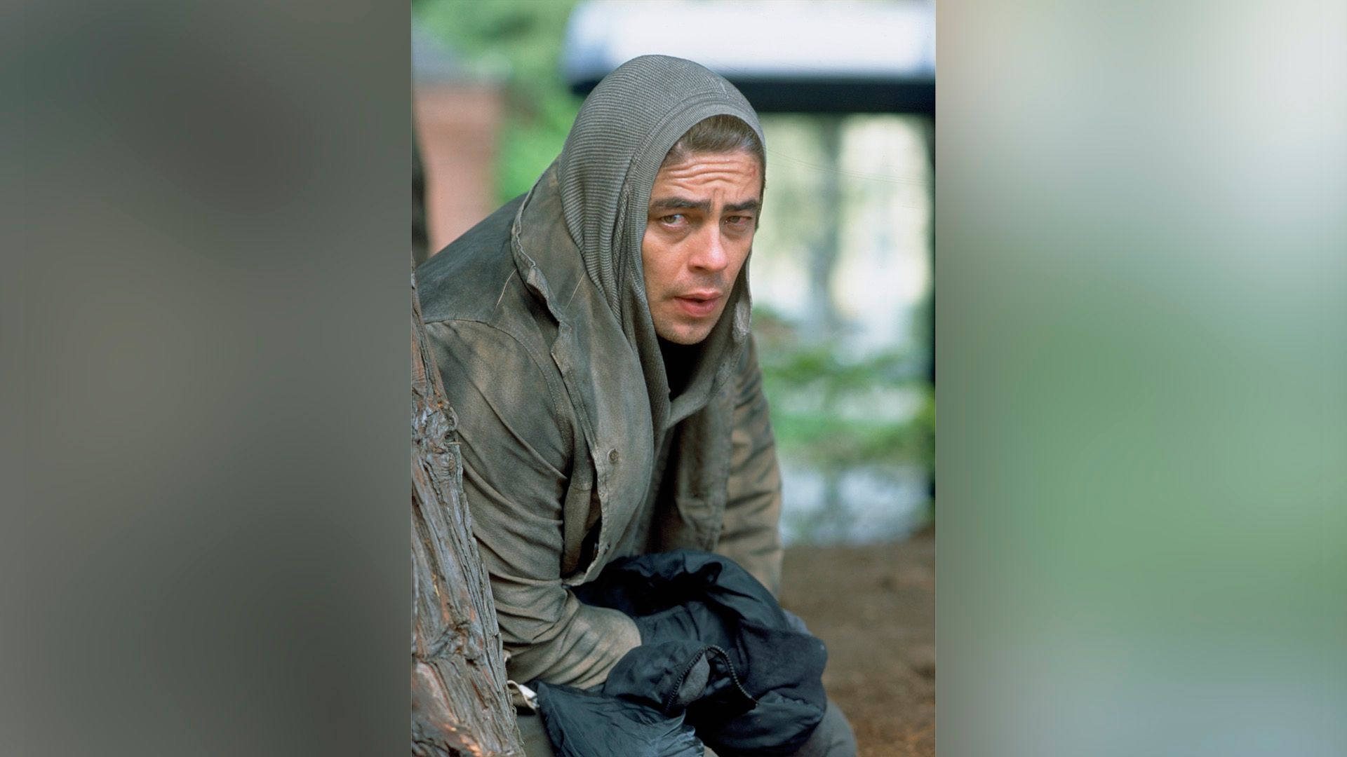 A man in a green jacket hiding behind a tree