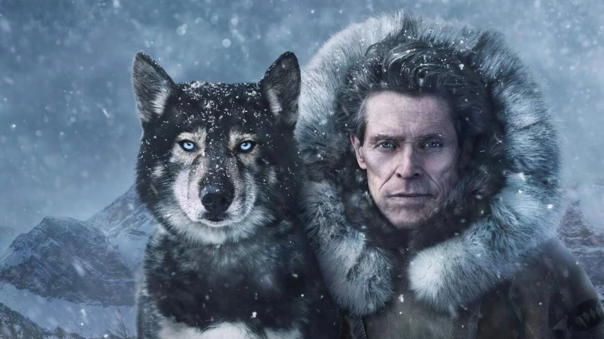 Black blue-eyed husky and an elderly man in a fur hood against a snowy landscape