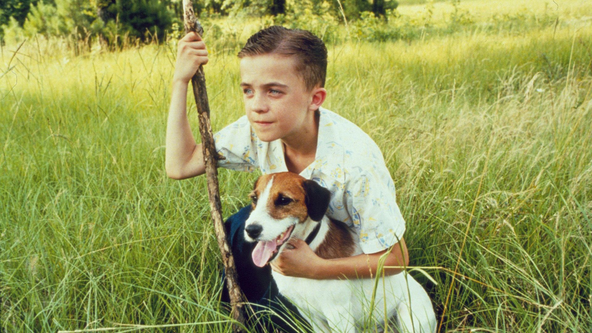 A boy sits in the grass, hugging a white and brown dog and leaning on a large stick