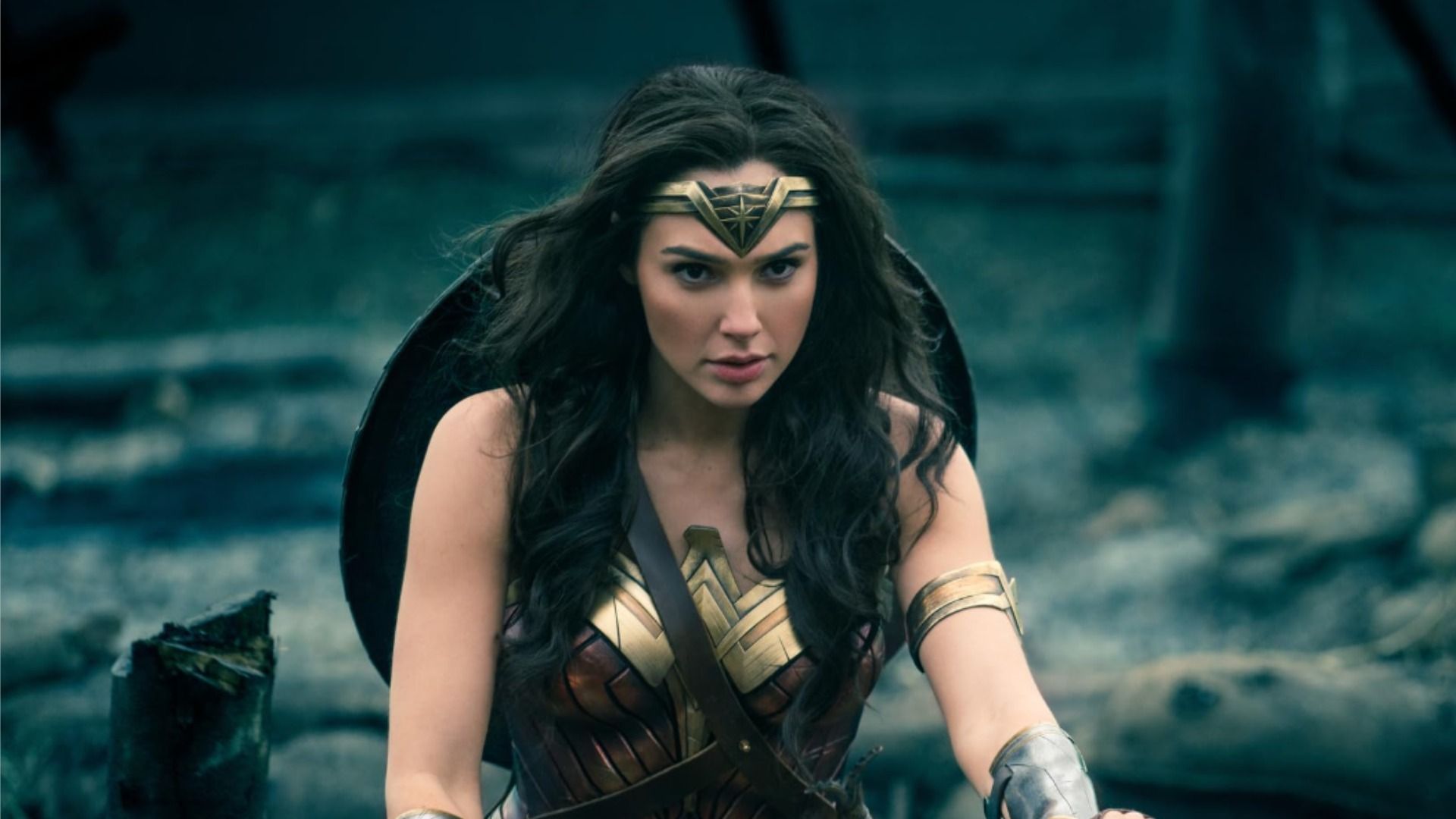 Actress Gal Gadot in a superhero costume with a shield on her back against a forest background