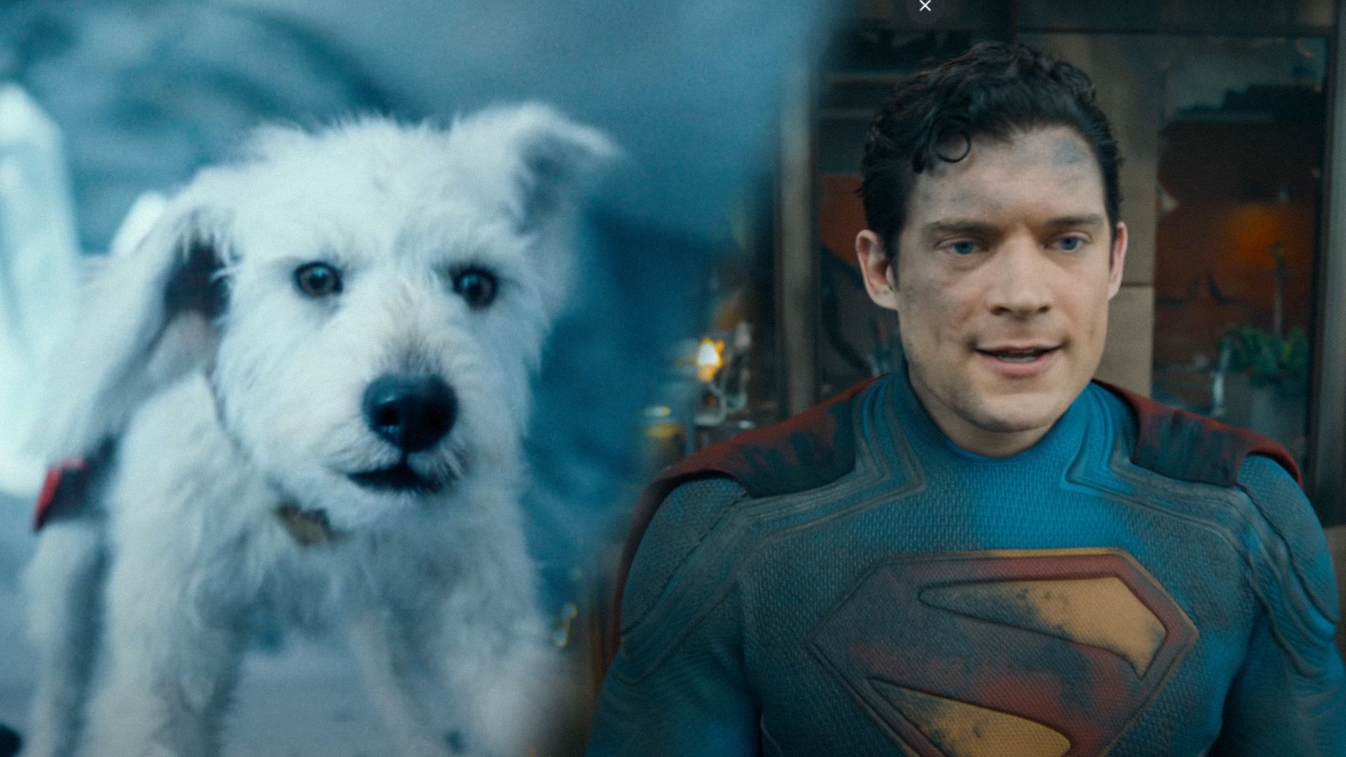 A white dog with a red cape on its back looks at the camera, actor David Corenswet in a dirty superhero costume looks to the side against the backdrop of a building