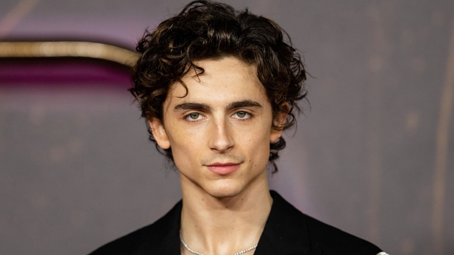 Three major roles that Timothée Chalamet auditioned for but did not get