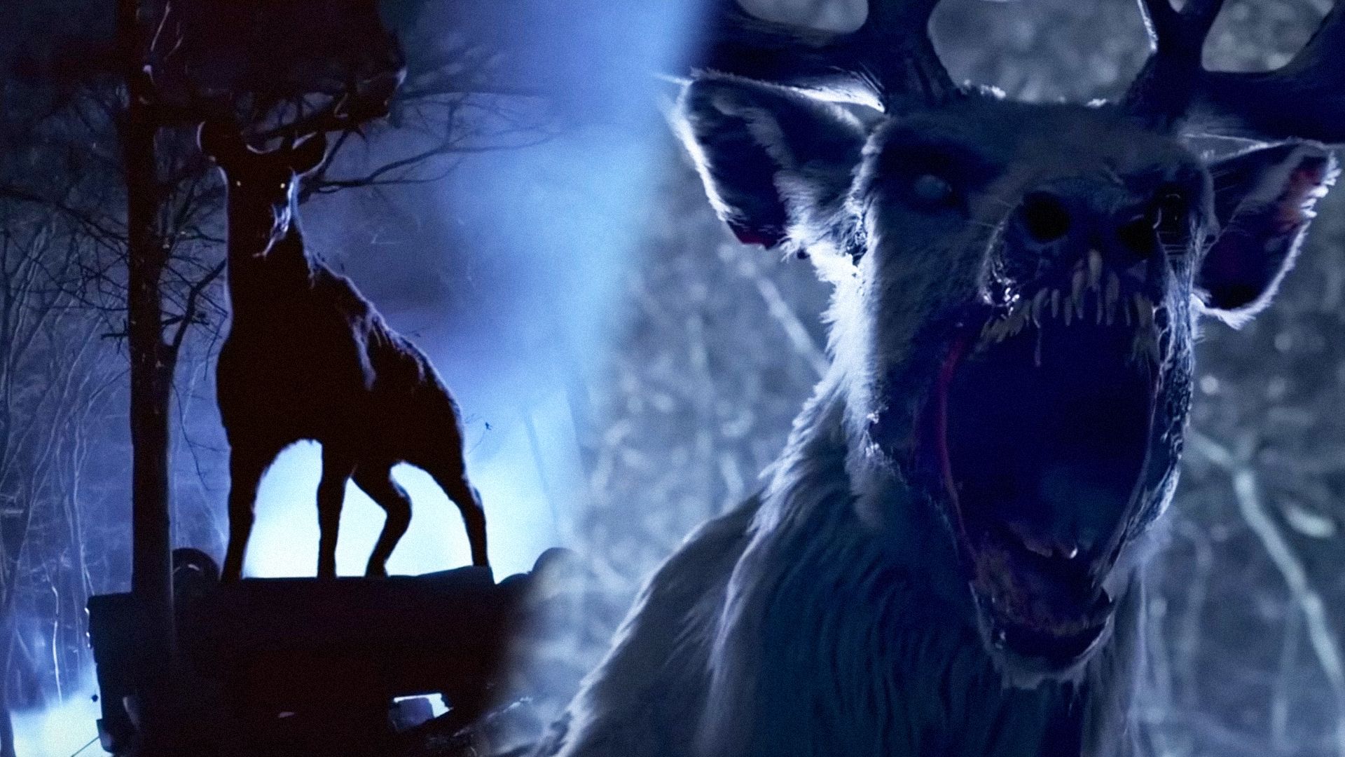 A deer with big antlers stands on a hill and looks at the camera against the backdrop of a night forest