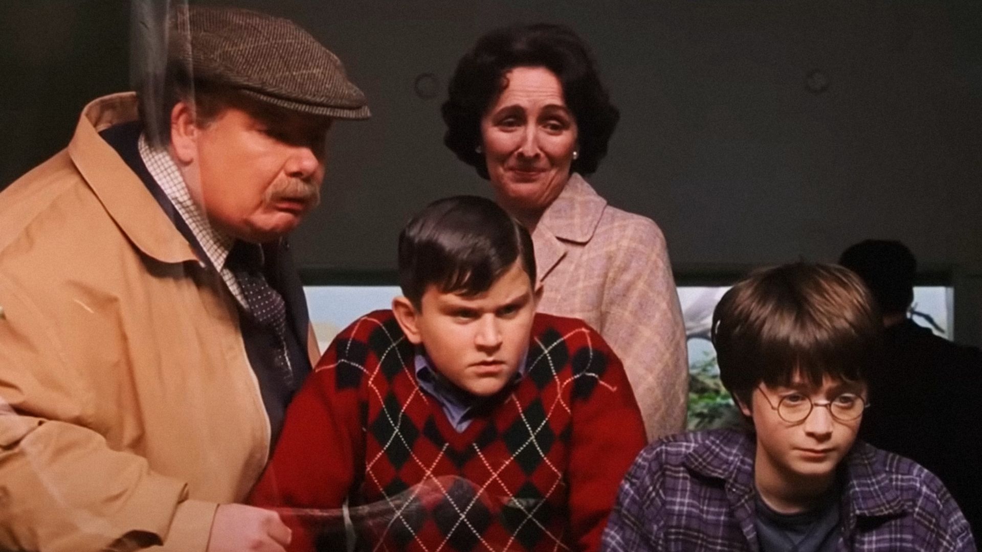 The Dursley family from the movie 'Harry Potter and the Sorcerer's Stone' stands by the mirrored fence and looks inside