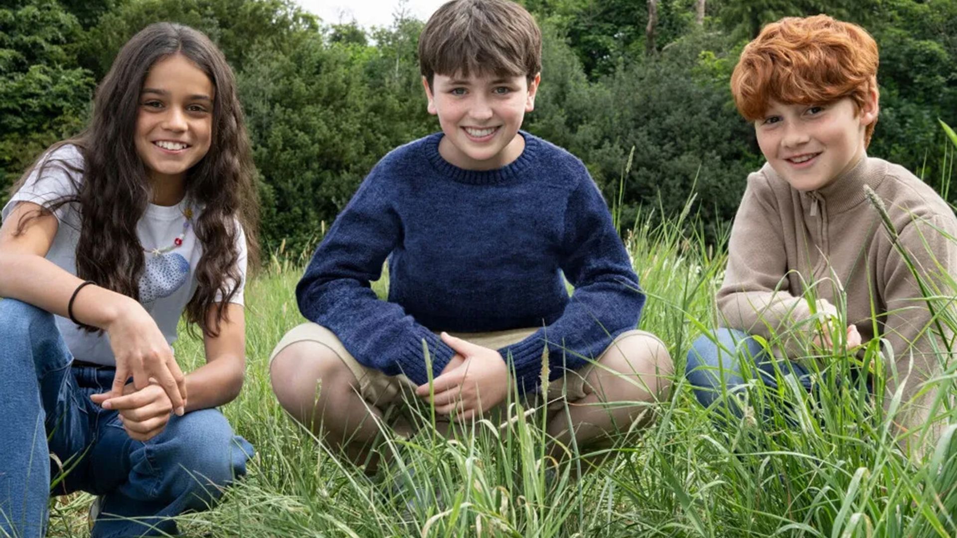 New Hermione Granger, Harry Potter, and Ron Weasley