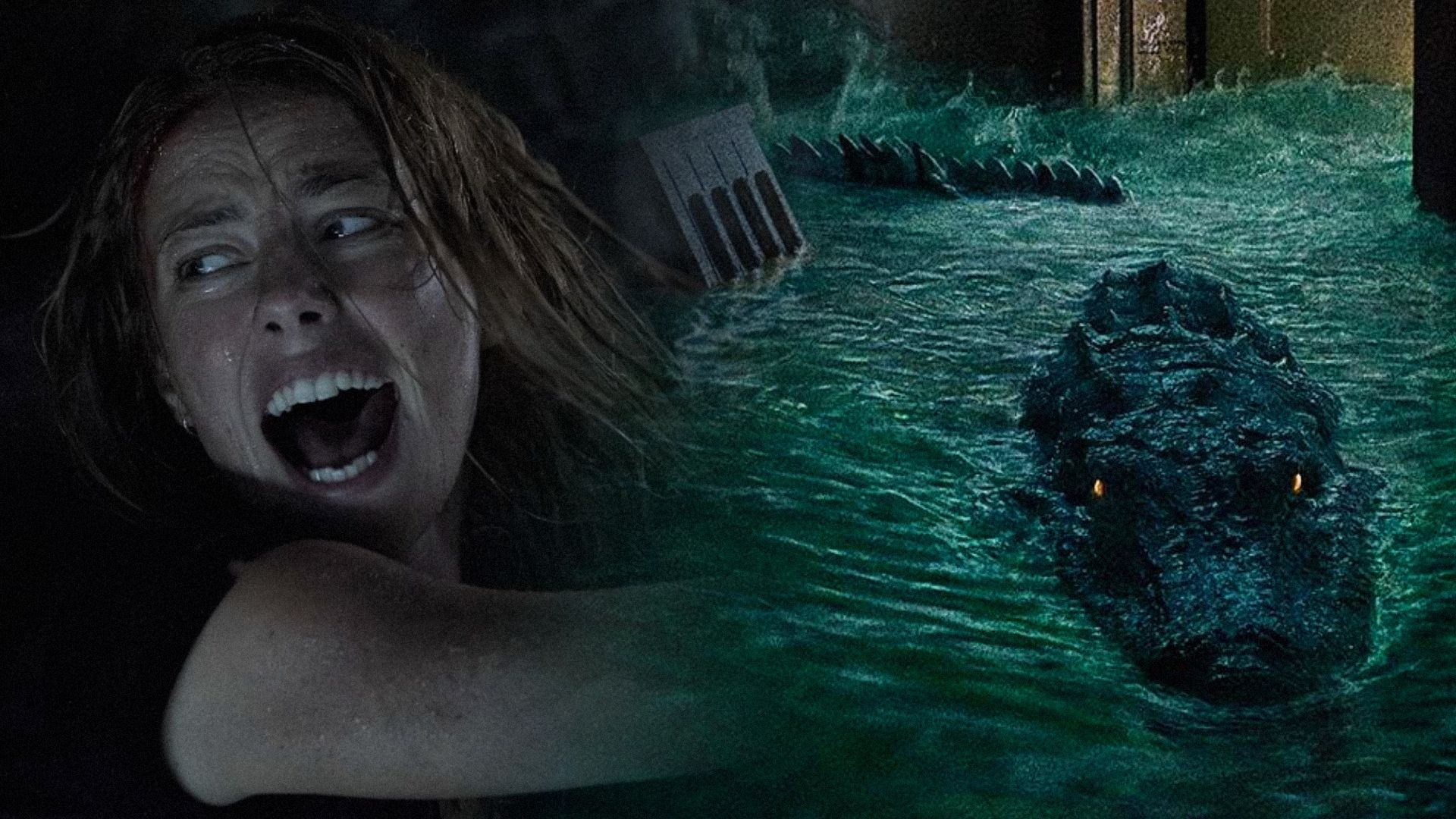 A screaming girl in a black t-shirt and an alligator swimming through a flooded apartment