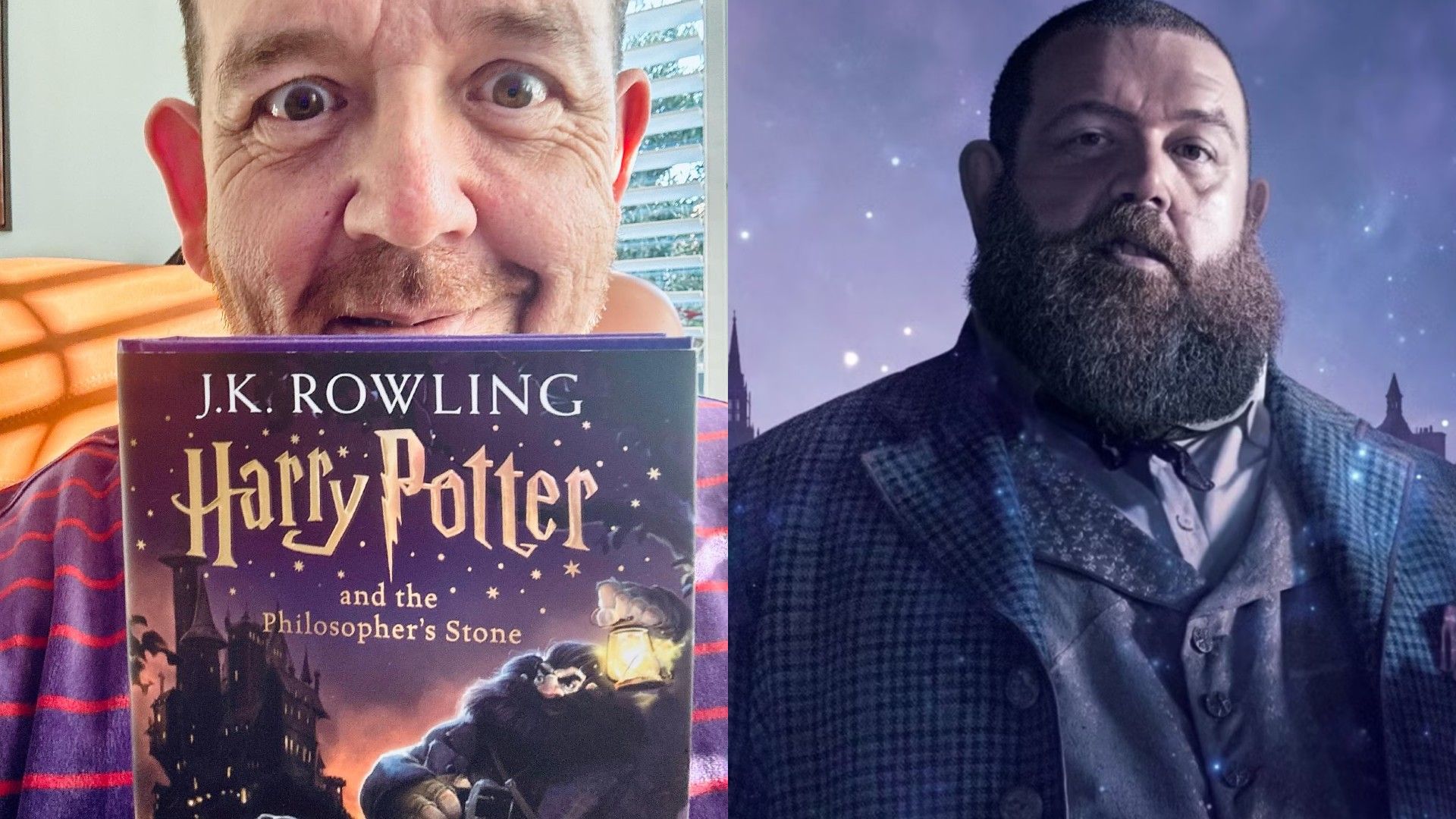 On the right, Nick Frost against a purple background in a suit, on the left he's holding the book "Harry Potter and the Philosopher's Stone"