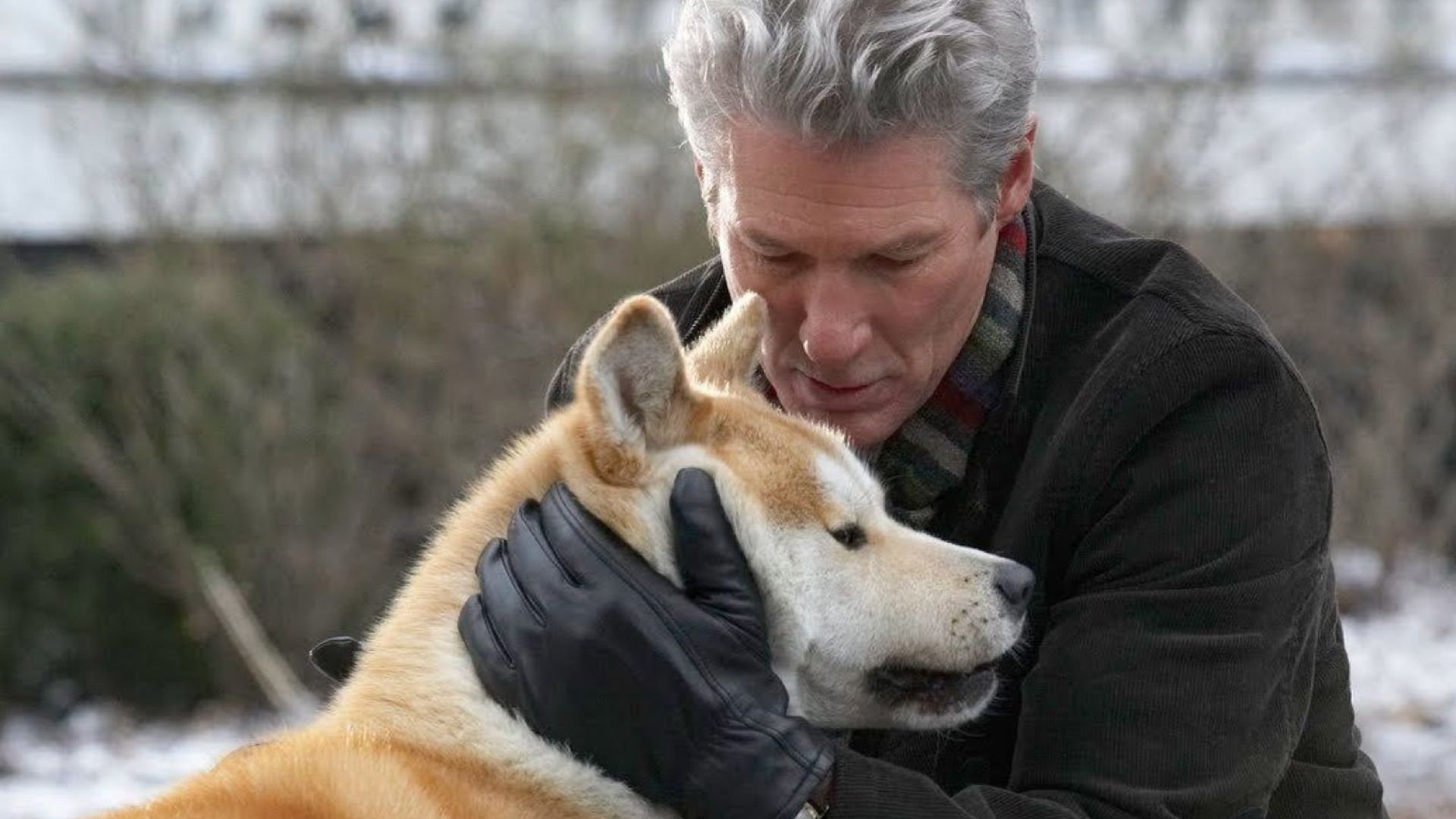 Richard Gere hugs a red Akita Inu dog