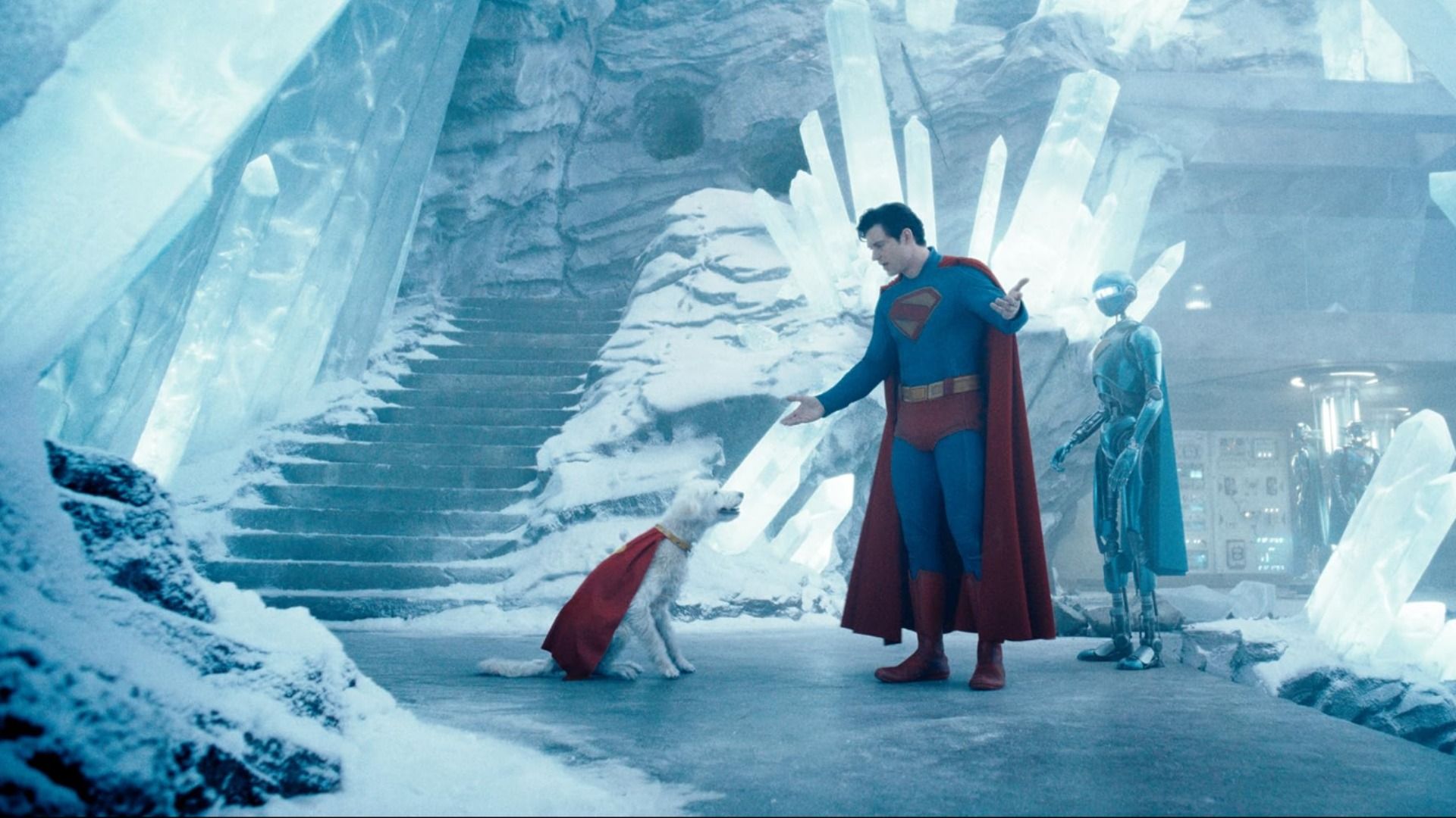 Man in blue-red superhero costume, silver robot and white dog with red cape