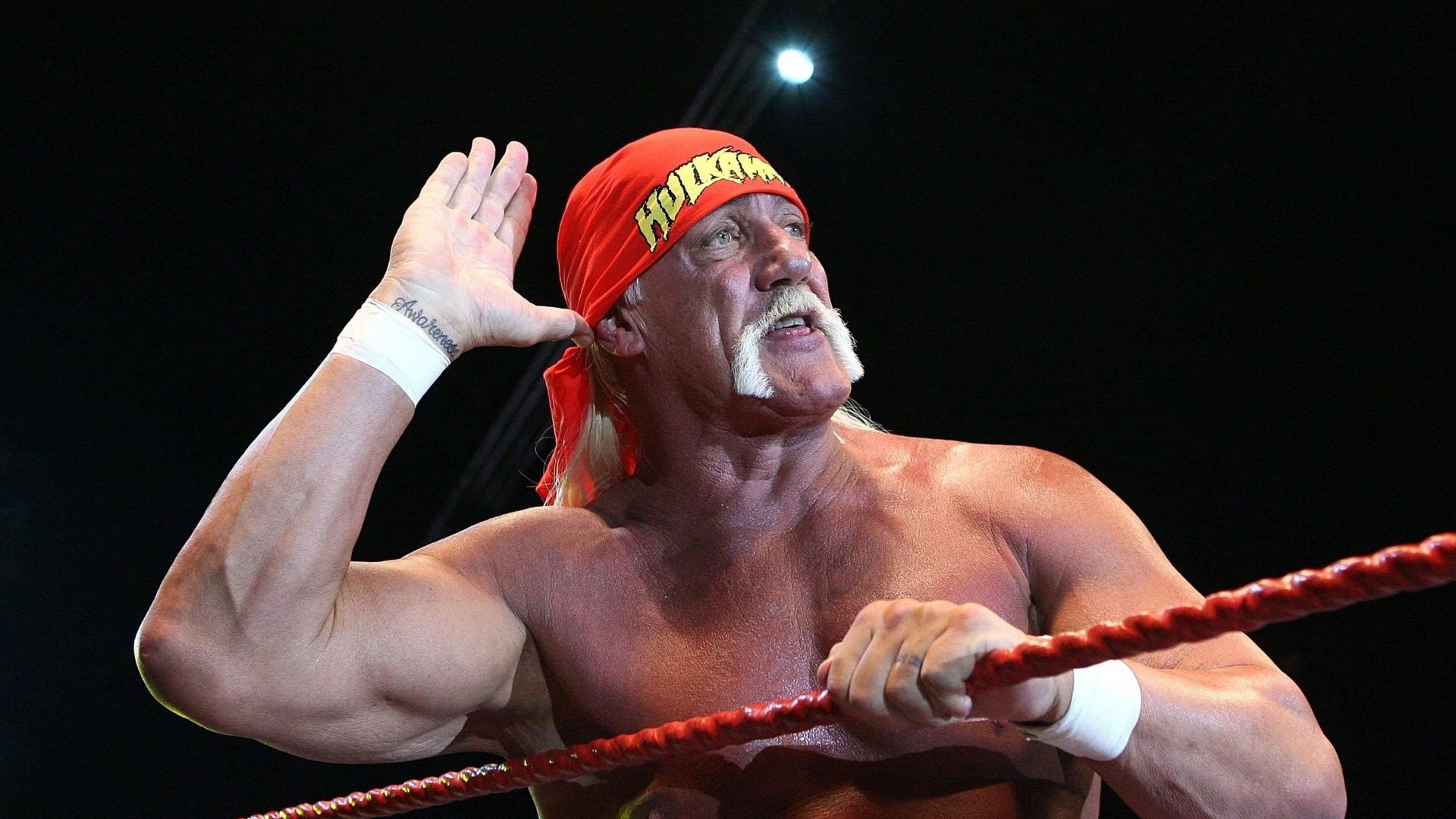 Famous wrestler Hulk Hogan has passed away