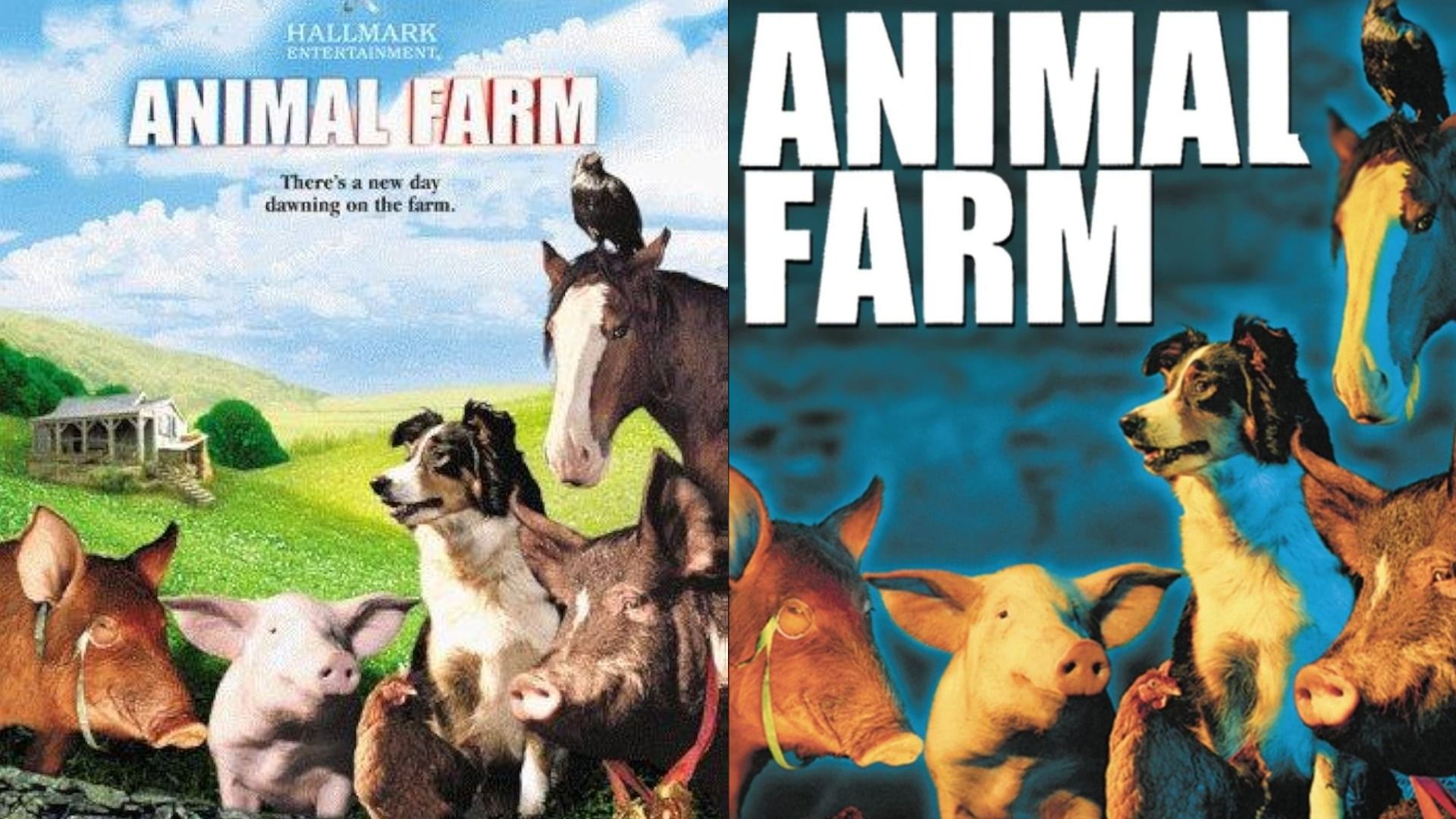 Pigs, a dog and a horse are standing on the grass with a house on the hill