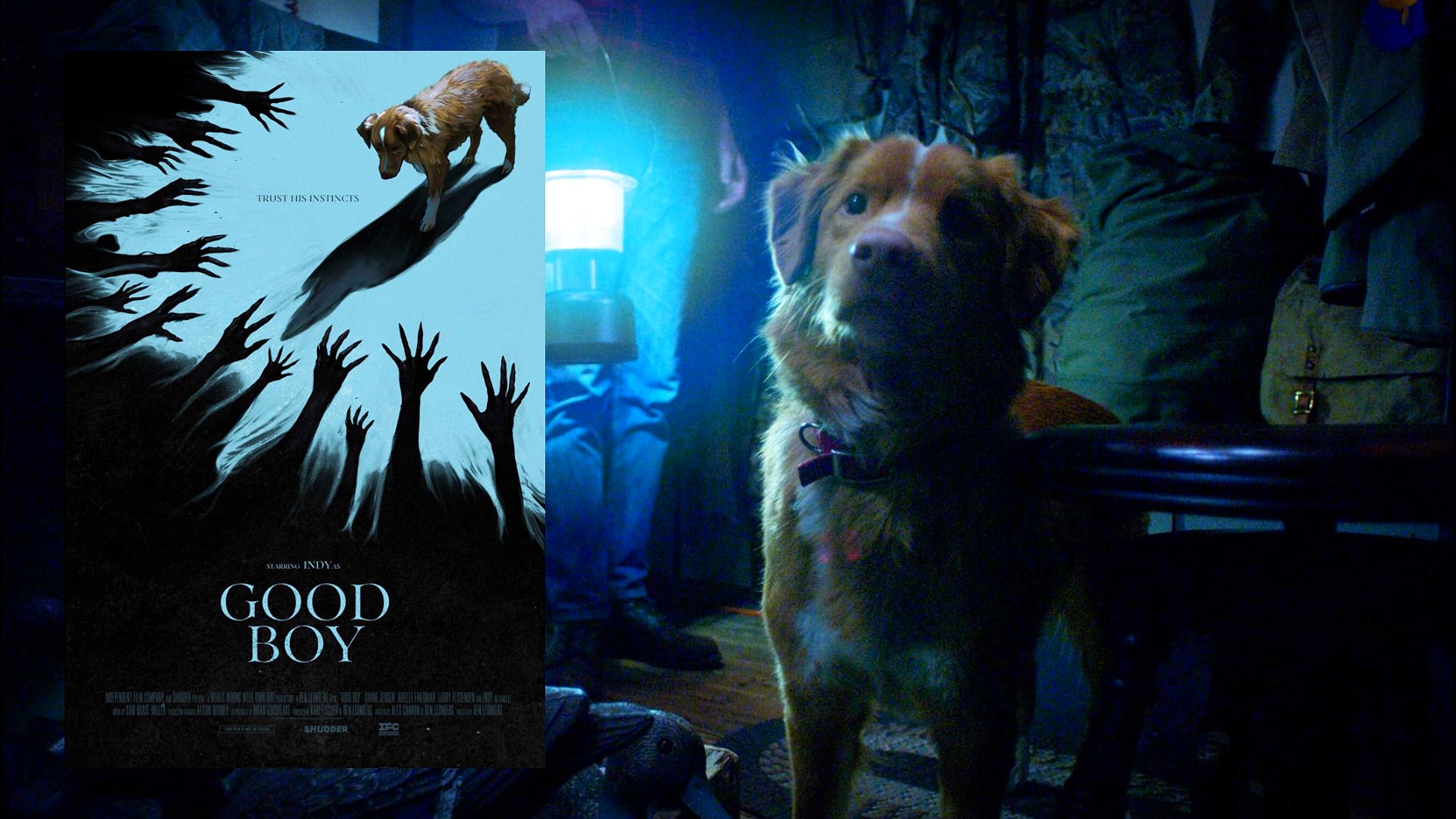 Dog Investigates the Paranormal in Horror Trailer for Haunted House Film "Good Boy"