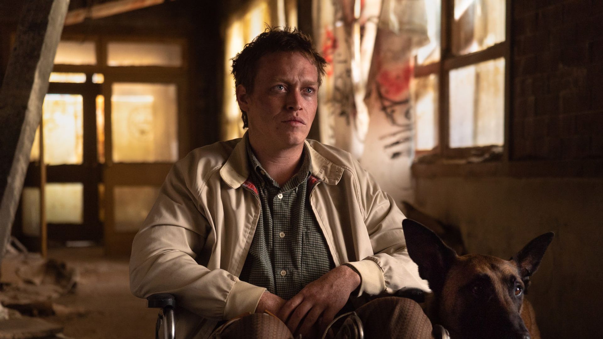 Caleb Landry Jones with short hair in a wheelchair looks at the camera with a dog sitting in front