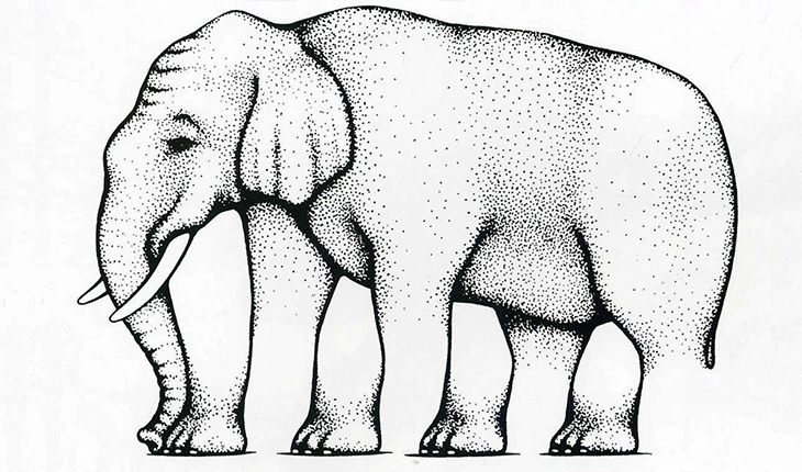 Shepard elephant