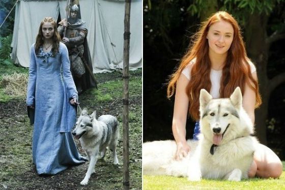 Sansa Stark and her dire wolf Lady outside the set