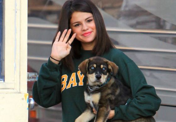 Selena Gomez and her puppy Bailor