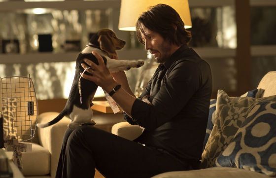A snapshot from “John Wick”