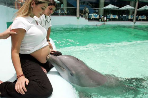 Pregnant women are often prescribed Dolphin therapy