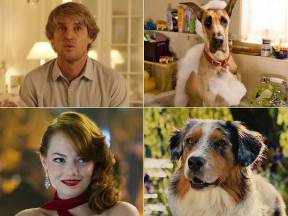 Emma Stone and Owen Wilson voicing the main characters of “Marmaduke”