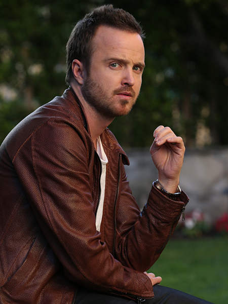 Aaron Paul photo 4