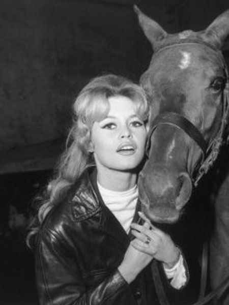 Brigitte Bardot photo 4