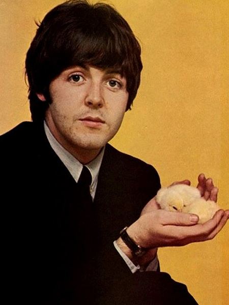 Paul McCartney photo 4